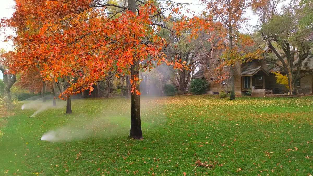 New lawn established in fall with sprinklers